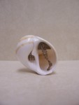http://www.christinegiffen.com/files/gimgs/th-2_ChristineLewis_SnailShellCottage(1)_v4.jpg